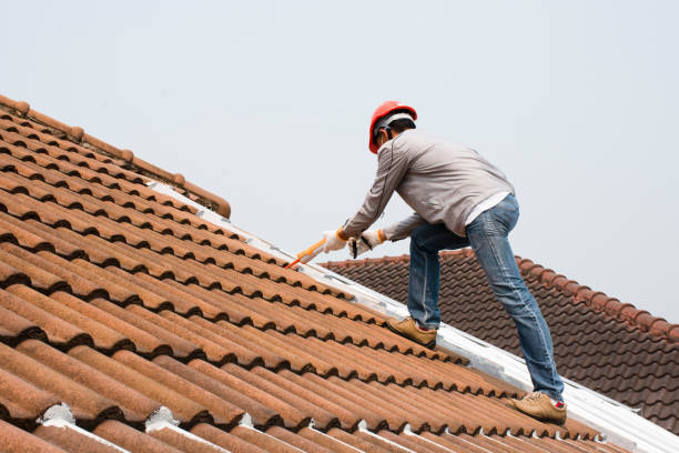 Best Roof Leak Repair  in USA